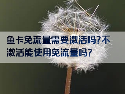 鱼卡免流量需要激活吗？不激活能使用免流量吗？