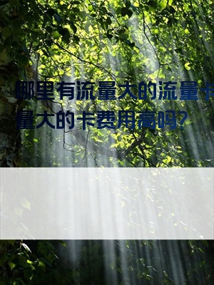 哪里有流量大的流量卡？流量大的卡费用高吗？