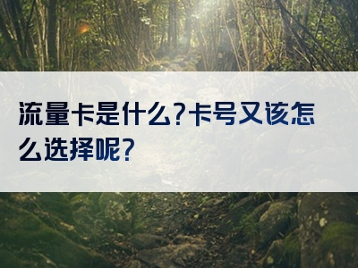 流量卡是什么？卡号又该怎么选择呢？