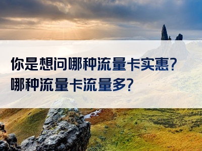 你是想问哪种流量卡实惠？哪种流量卡流量多？