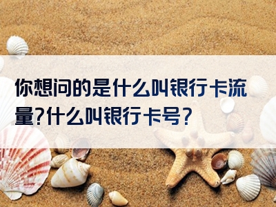 你想问的是什么叫银行卡流量？什么叫银行卡号？