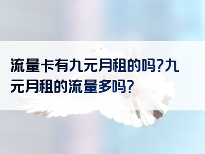 流量卡有九元月租的吗？九元月租的流量多吗？