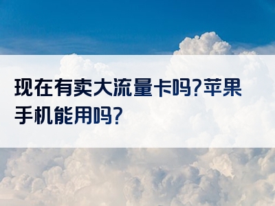 现在有卖大流量卡吗？苹果手机能用吗？