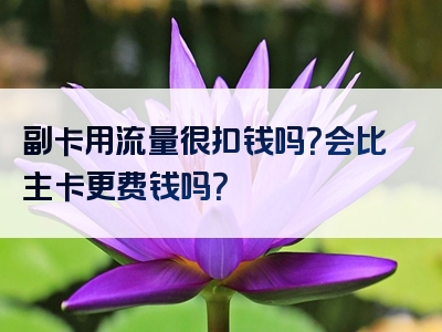 副卡用流量很扣钱吗？会比主卡更费钱吗？
