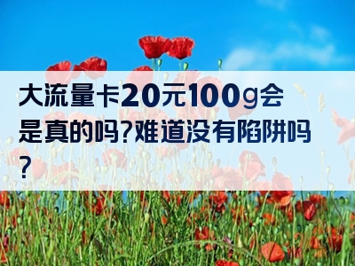 大流量卡20元100g会是真的吗？难道没有陷阱吗？