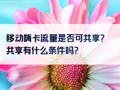移动嗨卡流量是否可共享？共享有什么条件吗？