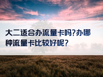大二适合办流量卡吗？办哪种流量卡比较好呢？