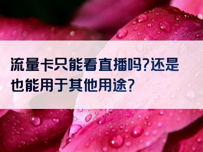 流量卡只能看直播吗？还是也能用于其他用途？