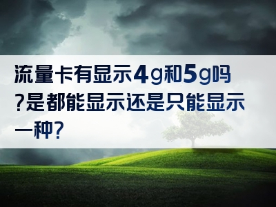流量卡有显示4g和5g吗？是都能显示还是只能显示一种？