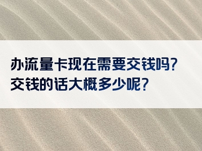 办流量卡现在需要交钱吗？交钱的话大概多少呢？