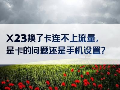 X23换了卡连不上流量，是卡的问题还是手机设置？