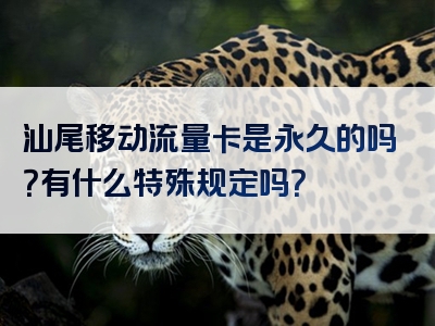 汕尾移动流量卡是永久的吗？有什么特殊规定吗？