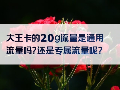 大王卡的20g流量是通用流量吗？还是专属流量呢？