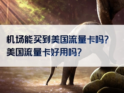 机场能买到美国流量卡吗？美国流量卡好用吗？