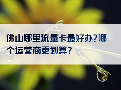 佛山哪里流量卡最好办？哪个运营商更划算？