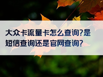 大众卡流量卡怎么查询？是短信查询还是官网查询？