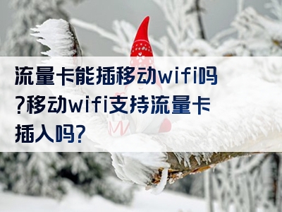 流量卡能插移动wifi吗？移动wifi支持流量卡插入吗？