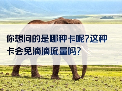 你想问的是哪种卡呢？这种卡会免滴滴流量吗？