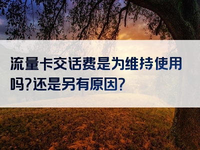 流量卡交话费是为维持使用吗？还是另有原因？