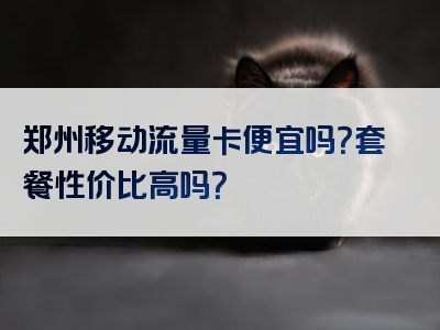 郑州移动流量卡便宜吗？套餐性价比高吗？