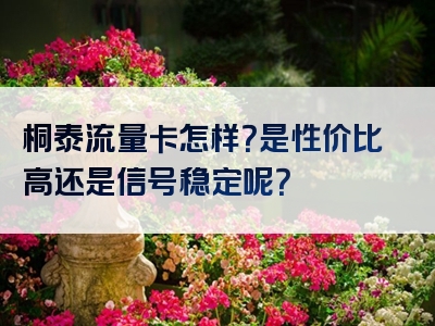 桐泰流量卡怎样？是性价比高还是信号稳定呢？