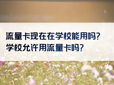流量卡现在在学校能用吗？学校允许用流量卡吗？