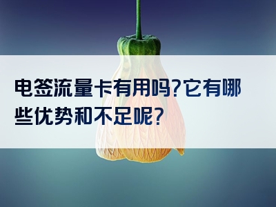 电签流量卡有用吗？它有哪些优势和不足呢？