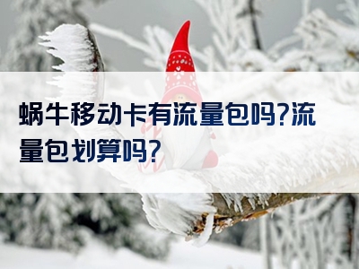 蜗牛移动卡有流量包吗？流量包划算吗？