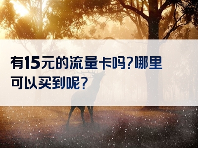 有15元的流量卡吗？哪里可以买到呢？