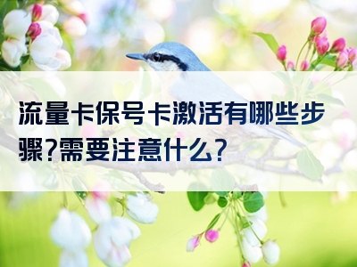 流量卡保号卡激活有哪些步骤？需要注意什么？
