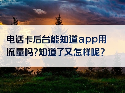 电话卡后台能知道app用流量吗？知道了又怎样呢？