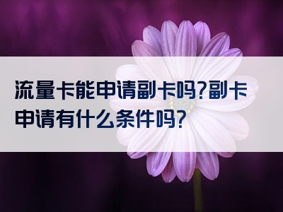 流量卡能申请副卡吗？副卡申请有什么条件吗？