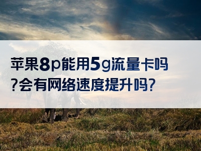 苹果8p能用5g流量卡吗？会有网络速度提升吗？