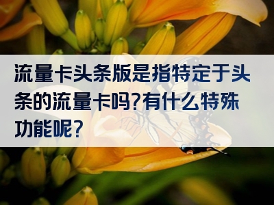 流量卡头条版是指特定于头条的流量卡吗？有什么特殊功能呢？