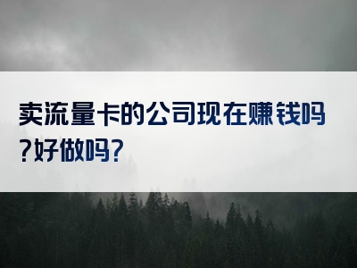 卖流量卡的公司现在赚钱吗？好做吗？