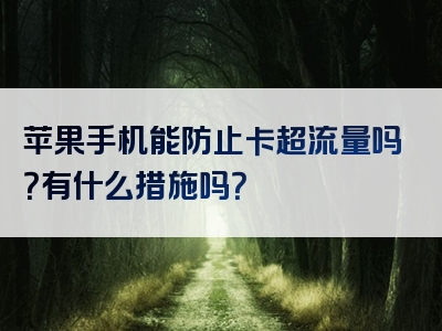 苹果手机能防止卡超流量吗？有什么措施吗？