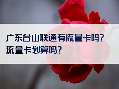 广东台山联通有流量卡吗？流量卡划算吗？