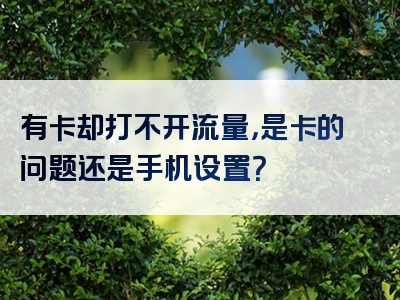 有卡却打不开流量，是卡的问题还是手机设置？