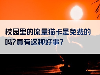 校园里的流量猫卡是免费的吗？真有这种好事？
