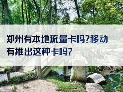 郑州有本地流量卡吗？移动有推出这种卡吗？