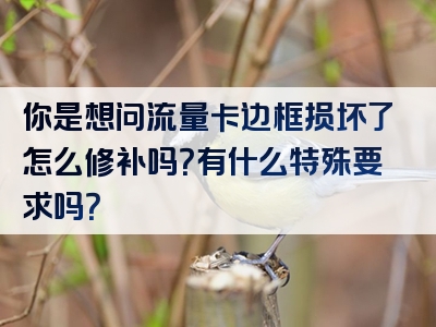 你是想问流量卡边框损坏了怎么修补吗？有什么特殊要求吗？