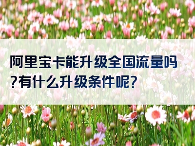 阿里宝卡能升级全国流量吗？有什么升级条件呢？
