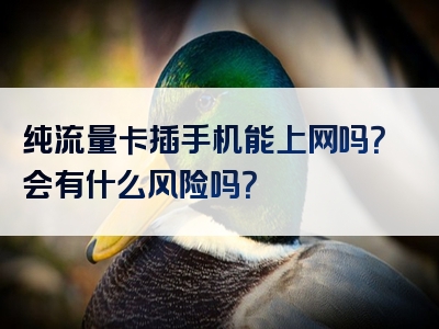 纯流量卡插手机能上网吗？会有什么风险吗？