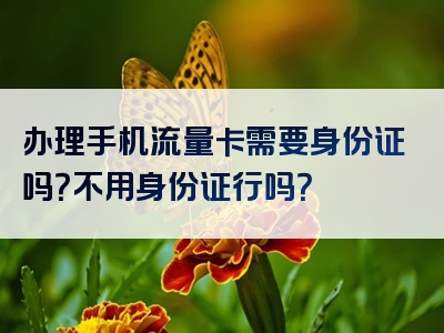 办理手机流量卡需要身份证吗？不用身份证行吗？