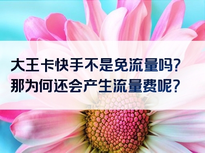大王卡快手不是免流量吗？那为何还会产生流量费呢？