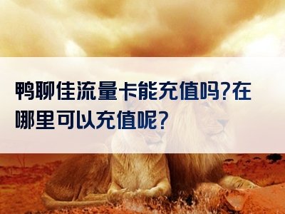 鸭聊佳流量卡能充值吗？在哪里可以充值呢？