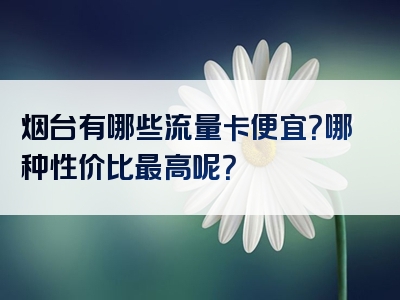 烟台有哪些流量卡便宜？哪种性价比最高呢？