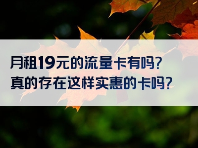 月租19元的流量卡有吗？真的存在这样实惠的卡吗？