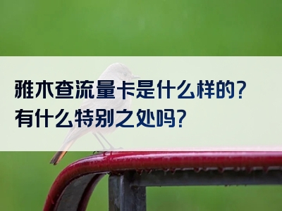 雅木查流量卡是什么样的？有什么特别之处吗？