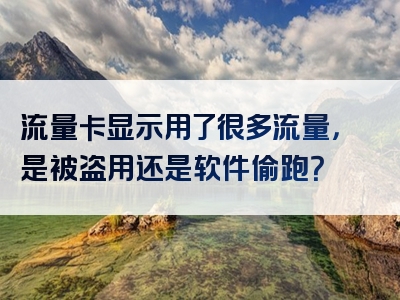 流量卡显示用了很多流量，是被盗用还是软件偷跑？